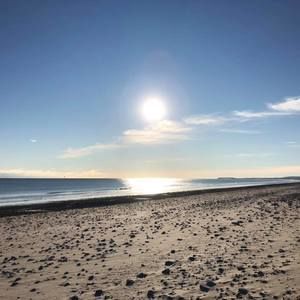 Meet your Posher, Rick